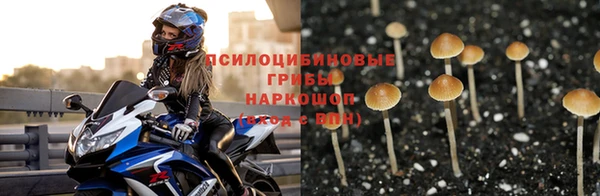 ECSTASY Семёнов